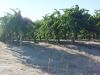DSC02108.jpg