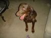 DSC07856.JPG