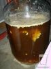 tn_2007_cali_1a.JPG