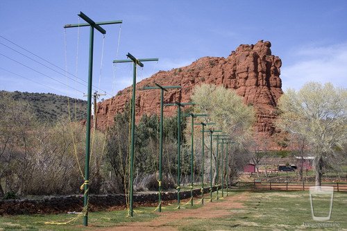 Sedona Hop Field
Newly erected trellis towers for my hop field.  10 poles, with 4 plants per pole.
