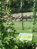 2010Harvest6.jpg