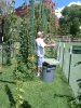 2010Harvest7.jpg