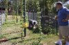 HOPS-Hairy-Dad_7-2-10_s.jpg
