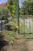 HOPS_Trellis_s_7-2-10_s.jpg