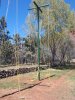 Hop_plantings2.jpg