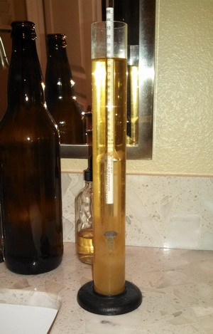 Kolsch hydrometer sample