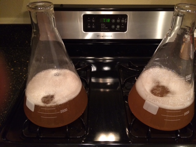 Yeast Starter.jpg